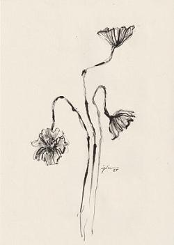 fleur 08
