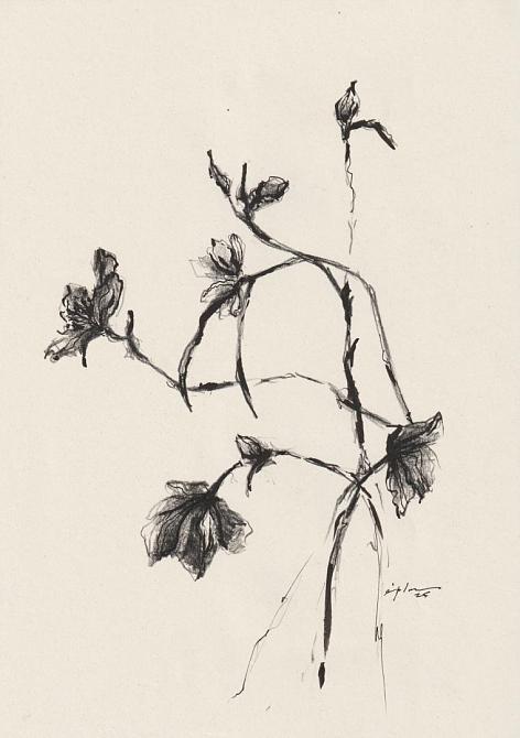 fleur 07