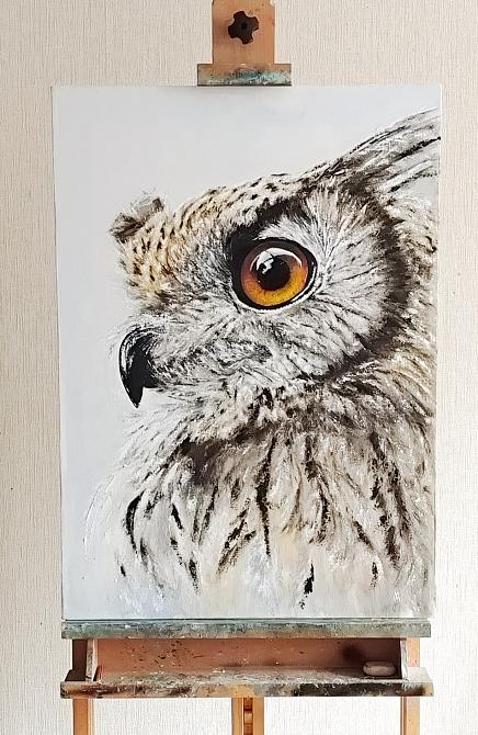 Сова