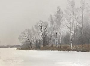 Морозный день